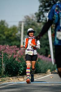 BIB: 
                            <button type="button" onclick="openModal(26007750)" class="btn btn-primary btn-sm float-right btn-popup" data-toggle="modal" data-target=".modal-high-quality">
                        <i class="fas fa-shopping-cart"></i> Add to Cart
                    </button>
                                            <button type="button" onclick="isThisMe(26007750, true)" class="btn btn-success btn-sm float-right btn-popup btn-isme hidden" data-toggle="tooltip" data-placement="bottom" title="นี่คือรูปของคุณใช่ไหม คลิกที่นี่เพื่อเอาเข้าอัลบั้ม">
                        <i class="fas fa-plus"></i> Add to album
                    </button>
                    <button type="button" onclick="isThisMe(26007750, false)" class="btn btn-warning btn-sm float-right btn-popup btn-isnotme hidden">
                        <i class="fas fa-ban"></i> Remove from album
                    </button>